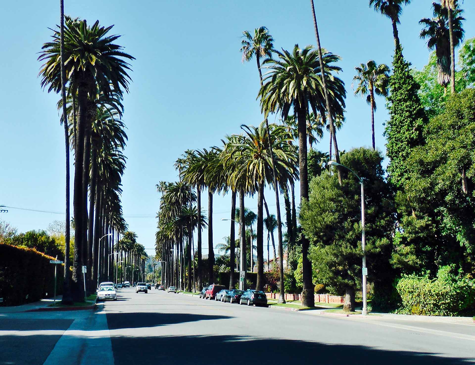 California street with palm trees